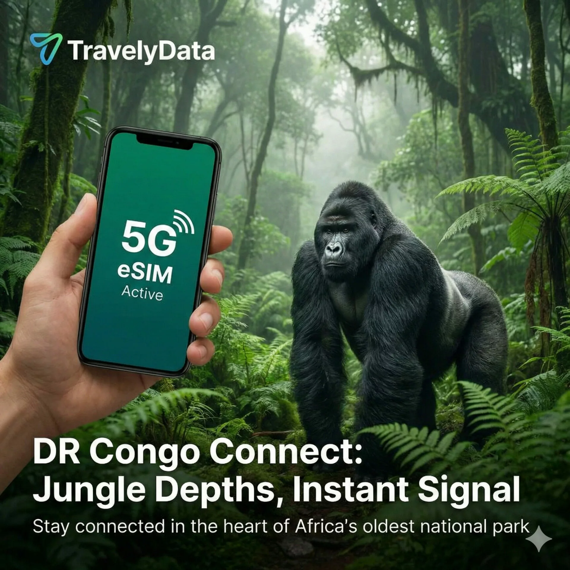 Democratic Republic of the Congo eSIM